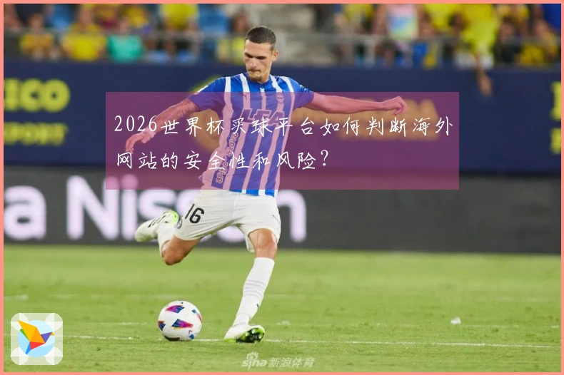 2026世界杯买球平台如何判断海外网站的安全性和风险？